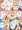 TOX2詰め