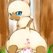 キノコ採取