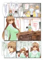 穢された女教師