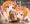 プルとプルツー