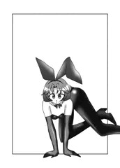 空ちゃんバニー