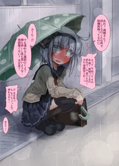 側溝の上の妖夢