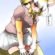 フェネックはスマートな方だけど