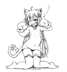 猫耳ちゃん。