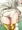 後ろから見たら絶対見えてる