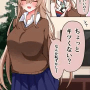 下着未着制服女騎士