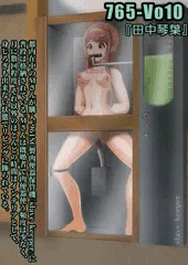その後のslavecollection 765-Vo10