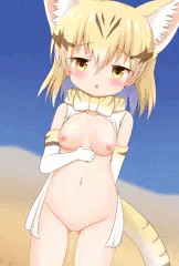 スナネコ