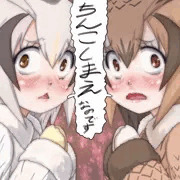 ちんこしまえ(アフリカオオコノワズク＆ワシミミズク)
