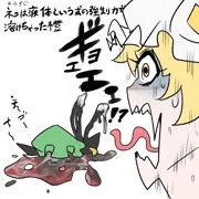 藍様橙ちゃん再妊娠
