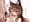 かげろうさん