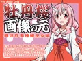 牡丹桜 画像の元 -異世界鬼神姫巫女編-