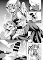 フランお姉ちゃんのエッチな躾
