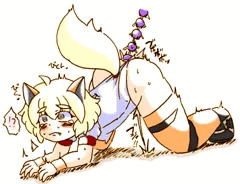 ｲｰﾇ１１