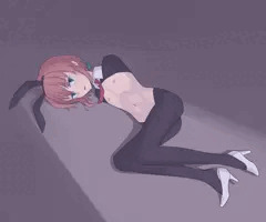 うちの子バニー