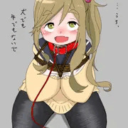 うそつきわんこのしつけかた
