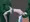 ｵﾘｼﾞﾅﾙ
