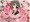 『あおいちゃんえっち!! 二本目』