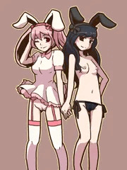 白うさぎ黒ウサギ