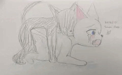 交尾