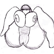 ご開帳