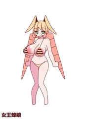 女王蜂娘ちゃん