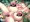 【skeb納品】東方Project 「秦こころ」超乳スライム姦
