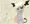 NINESTEP_3_02