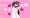 いい夫婦の日2019
