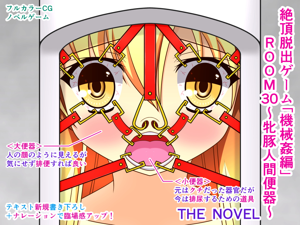 絶頂脱出ゲーム「機械姦編」ROOM30～牝豚人間便器～ THE NOVEL