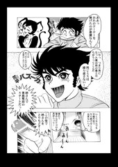 花平バズーカ（同人原稿