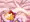 お腹ポコポコ植え付け