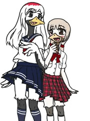 17と10