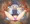 めんたいさん輪姦