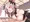 こんばんわんわん
