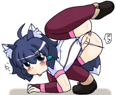ｷﾂﾈﾁｬﾝ１１