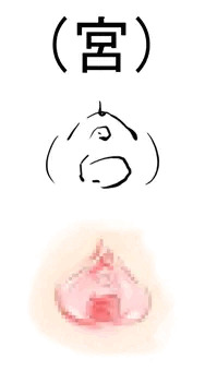 (宮)　＼くぱぁ／