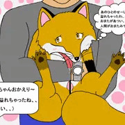 繁殖期を迎えたツバキちゃん