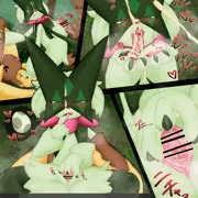 淫乱野生猫④