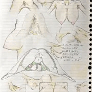 女体の練習