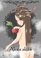 ヘラジカさん