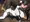 秦良玉のw馬ファック