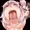 ベロチュー