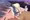 小清水透ちゃん　手コキキス
