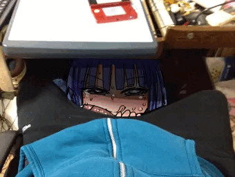 梨花ちゃまが家に来たよ
