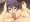 とりフェ