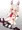 イナバの白うさぎさん