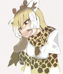 アミメキリンさん
