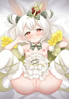 バニーカクタス
