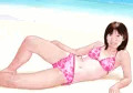 此の処の執筆24/05/10